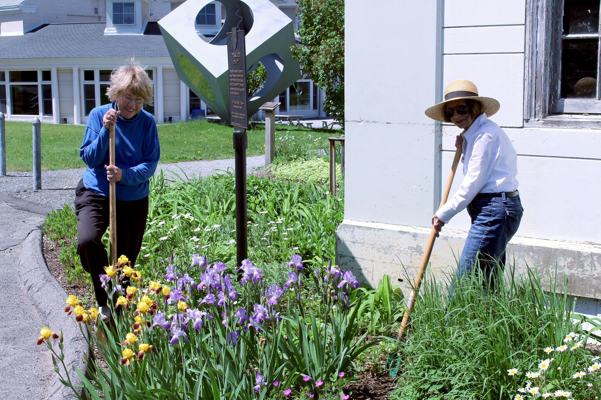 two women gardening in the sun